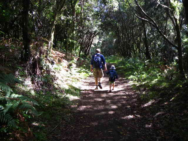 Lorbeerwald Lorbeerwald