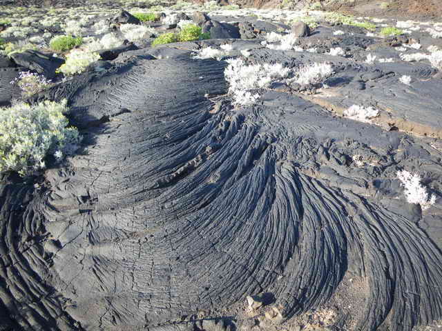 Lava