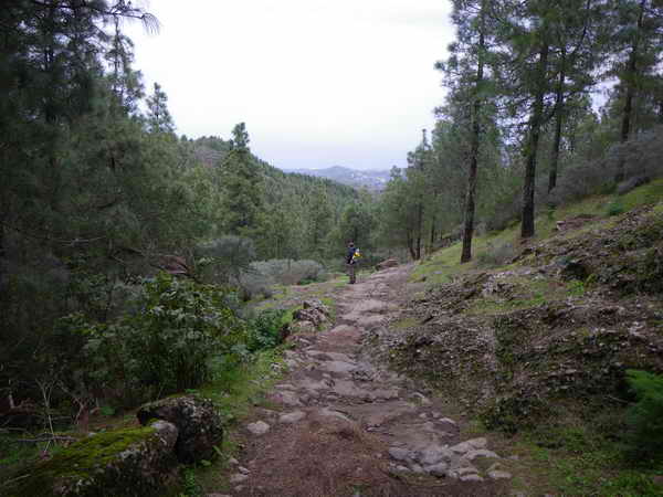 Wandern Mitten auf Gran Canaria