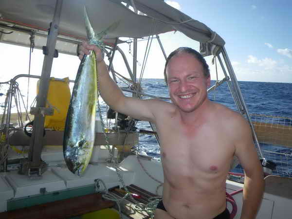 Goldmakrele (auch Mahi-Mahi oder dolphin-fish) Goldmakrele (auch Mahi-Mahi oder dolphin-fish)