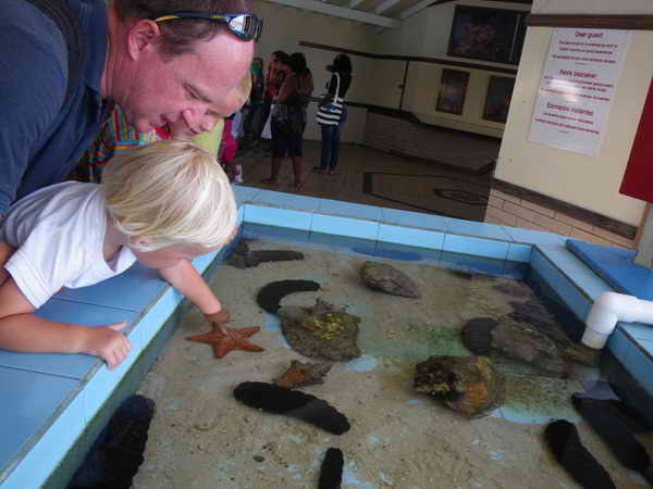 Streichelzoo im Seaquarium Streichelzoo im Seaquarium