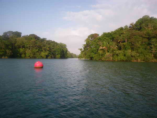 Auf dem Gatunsee