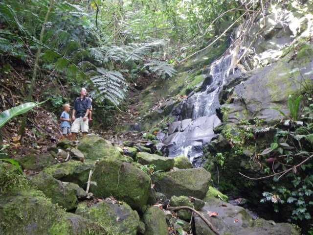 Kleiner Wasserfall beim Tropical Garden
