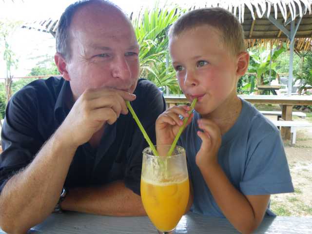 Leckerer frisch gepresster Saft