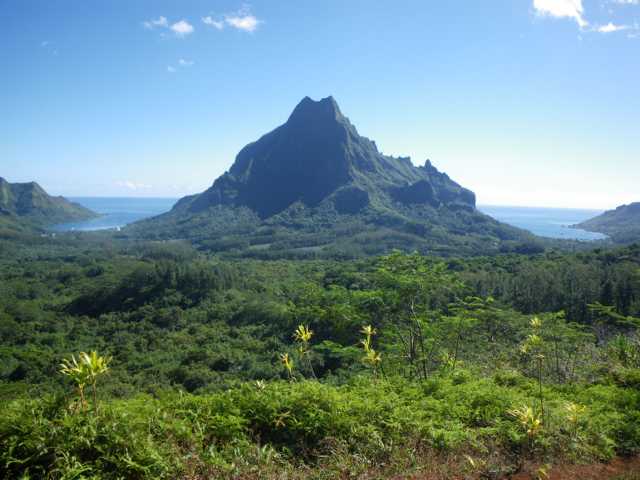 Blick von oberhalb des Belvedere