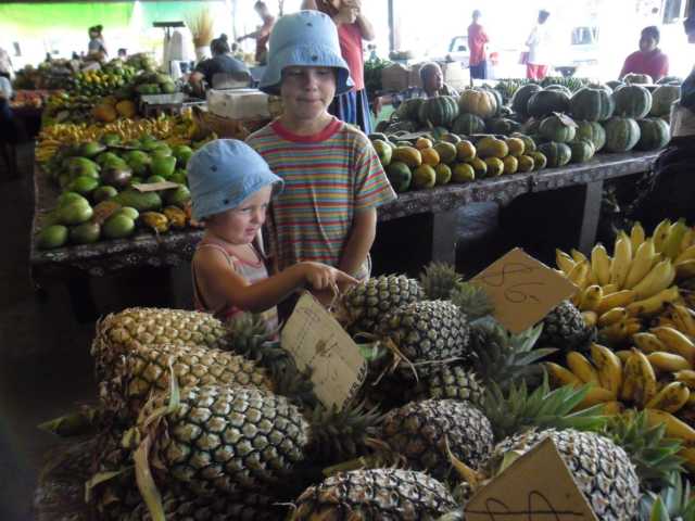 Welche Ananas essen wir heute?